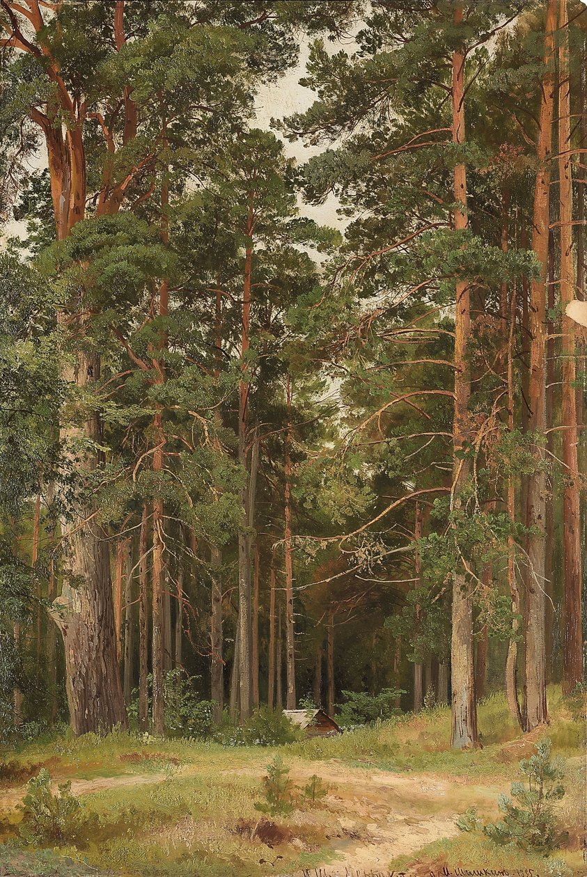Bir Yaz Günü, Merikiul, 1895 by Ivan Ivanovich Shishkin