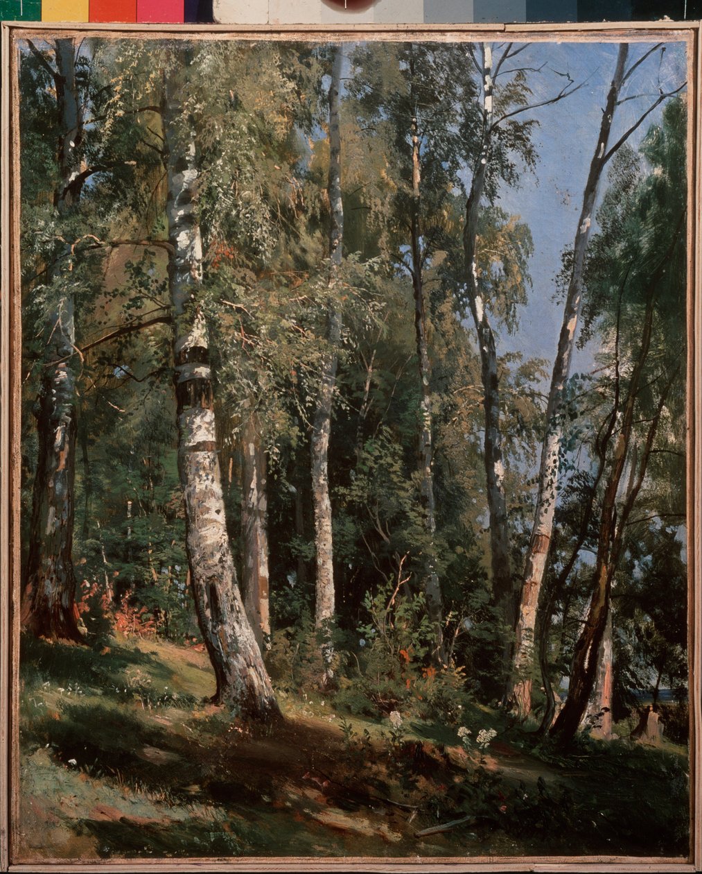 Huş korusu (Huş korusu) - Ivan Ivanovich Shishkin (Shishkin) (1832-1898) tarafından tablo, tuval üzerine yağlıboya by Ivan Ivanovich Shishkin