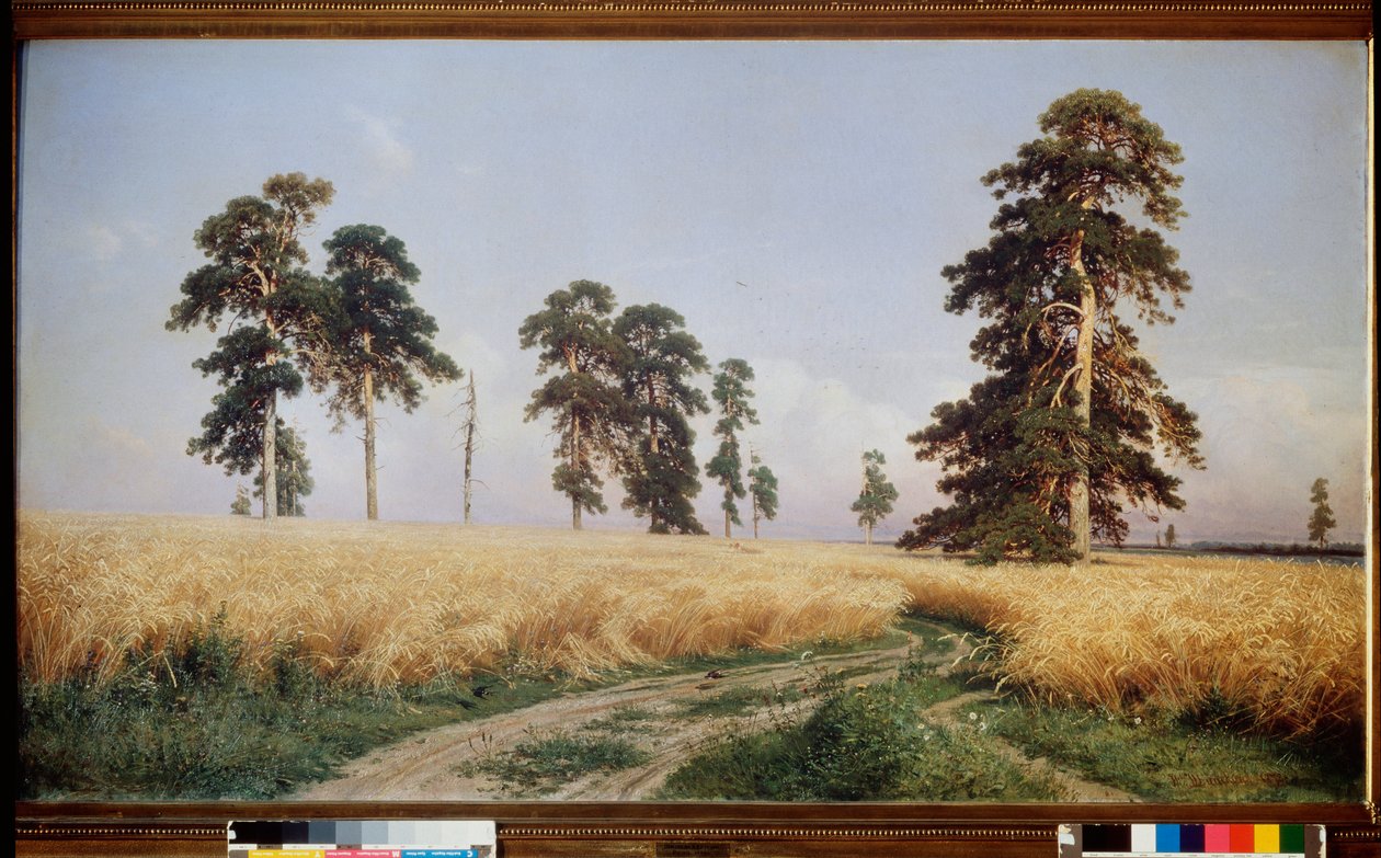 Champ de Seigle (Rie Field) - Paint de Ivan Ivanovich Shishkin (Chichkine) (1832-1898), Huile Sir Toile by Ivan Ivanovich Shishkin