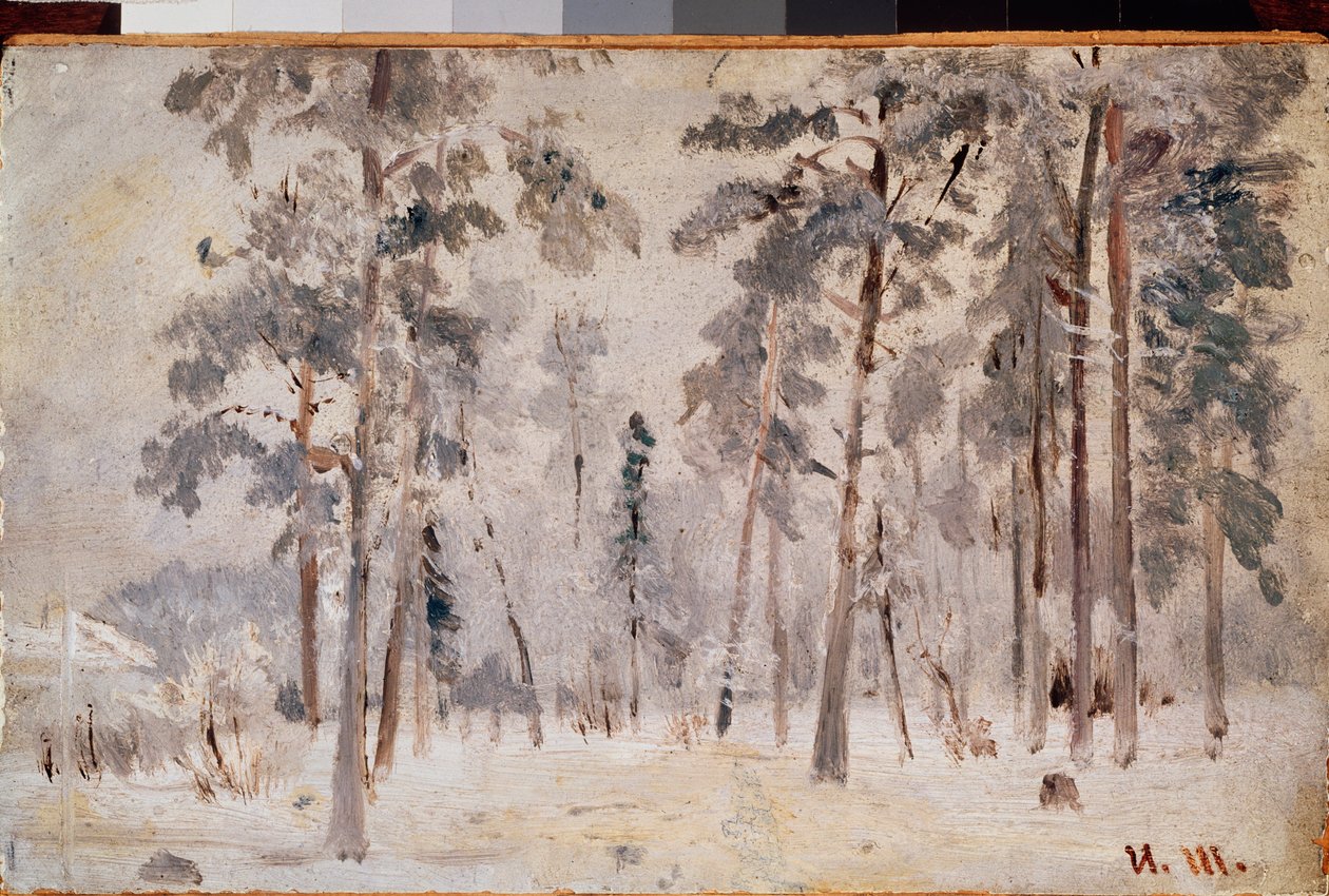 Frost (Hoarfrost) - Ivan Ivanovich Shishkin (Shishkin) (1832-1898), tuval üzerine yağlı boya, yaklaşık 1890 - Rus sanatı, 19. yüzyıl manzarası - Devlet Tretyakov Galerisi, Moskova by Ivan Ivanovich Shishkin
