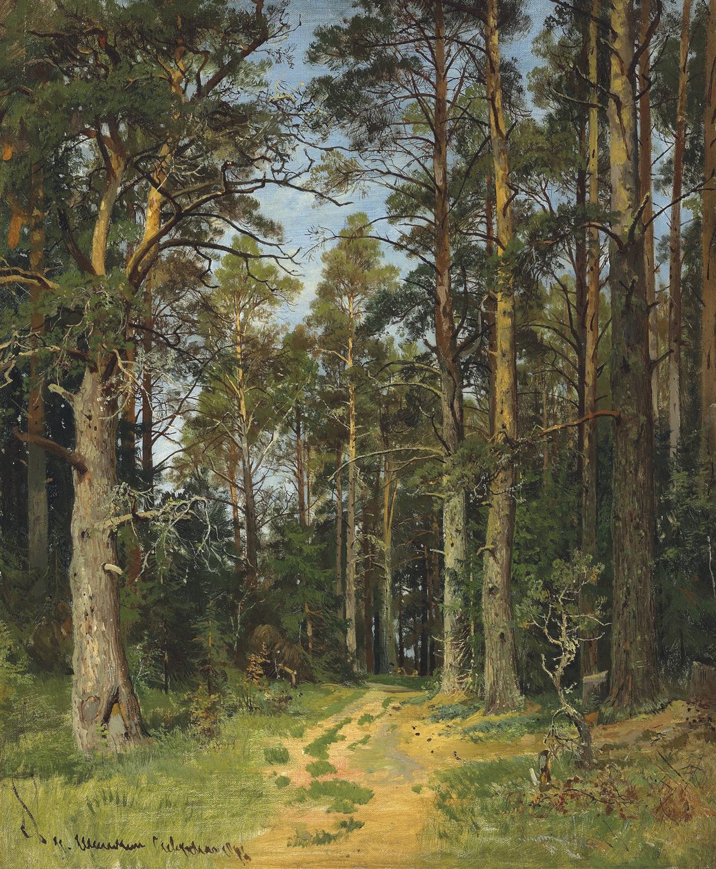 Siverskaya, 1896. by Ivan Ivanovich Shishkin