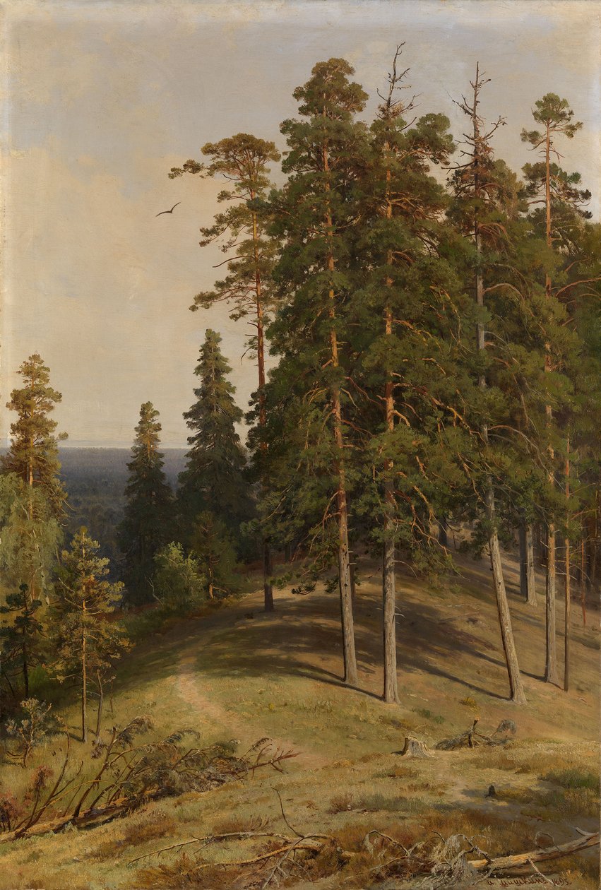 Çam Ormanı, 1895 by Ivan Ivanovich Shishkin