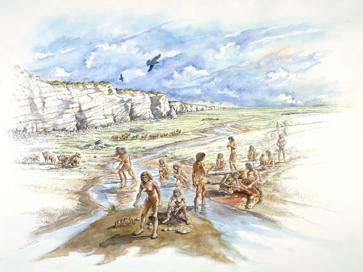 Boxgrove Ocağı, Tarih Öncesi, c1990-2010 by Ivan Lapper