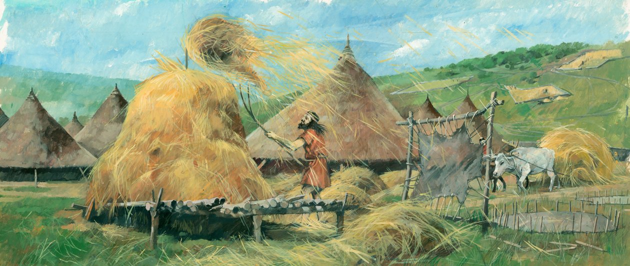 Grimspound, Bronz Çağı, c1990-2010 by Ivan Lapper