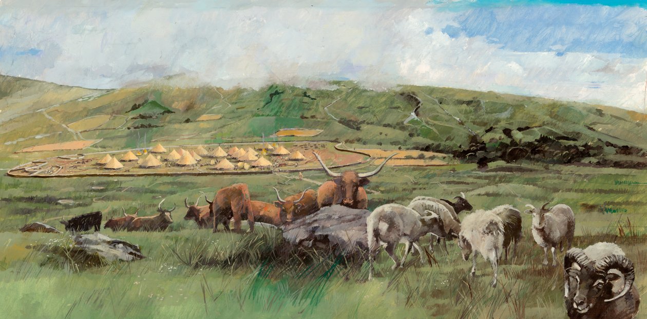 Grimspound, Bronz Çağı, c1990-2010 by Ivan Lapper