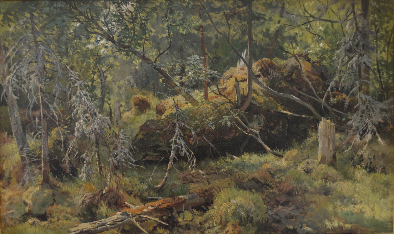  by Ivan Ivanovich Shishkin