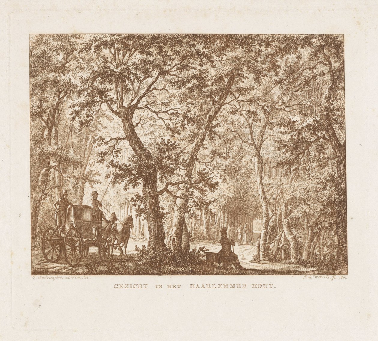 Haarlemmerhout
