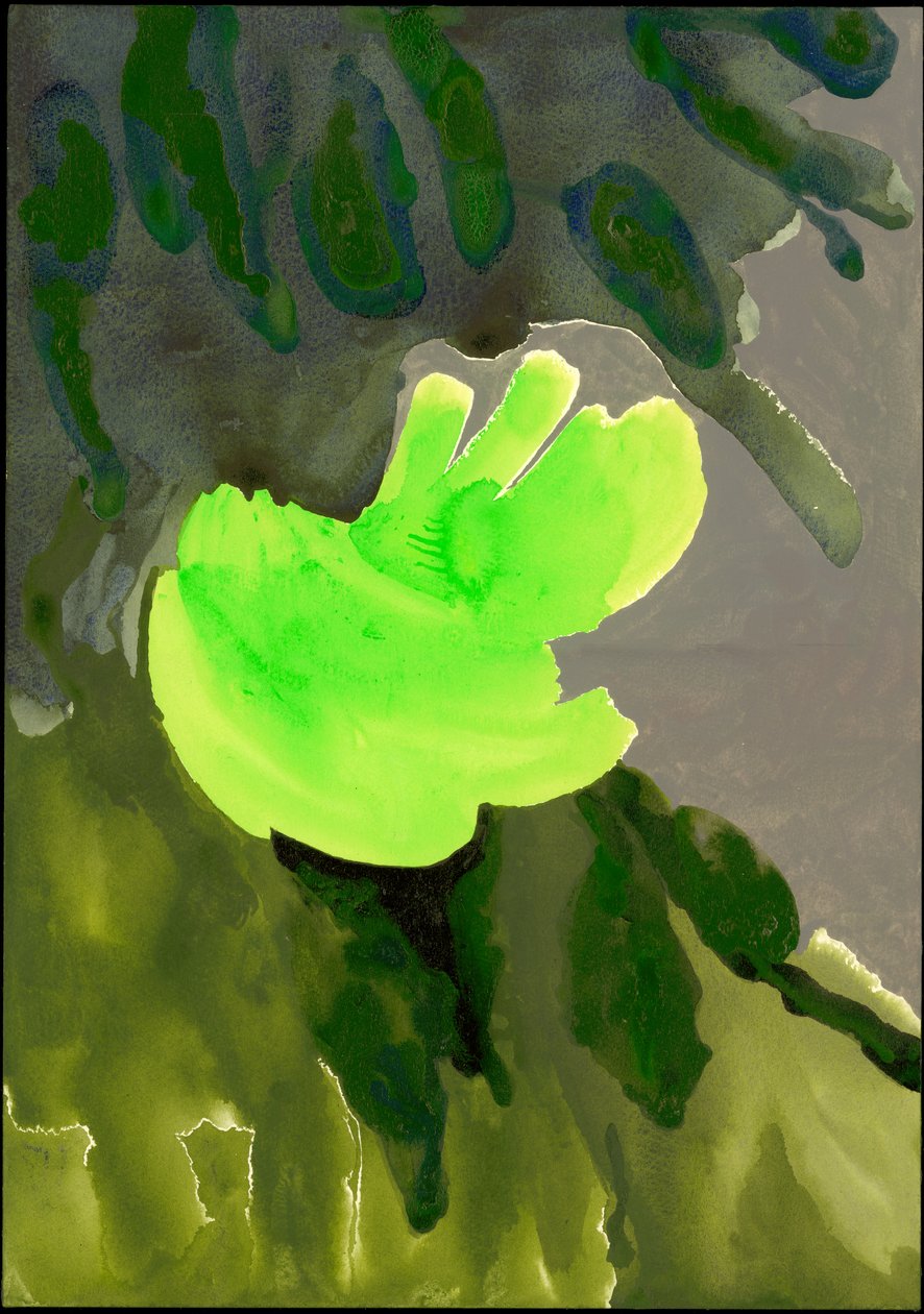 Kensington Gardens Serisi: Leaf Cascade, 2007 (kağıt üzerinde karışık teknik) by Izabella Godlewska de Aranda