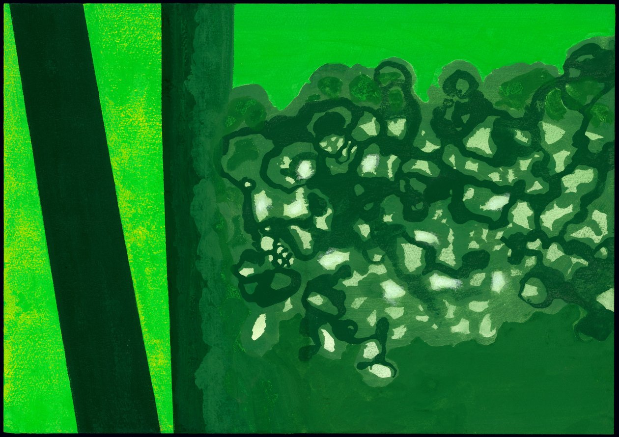 Kensington Gardens Serise: Canopy Shadows, 2007 (kağıt üzerinde karışık teknik) by Izabella Godlewska de Aranda