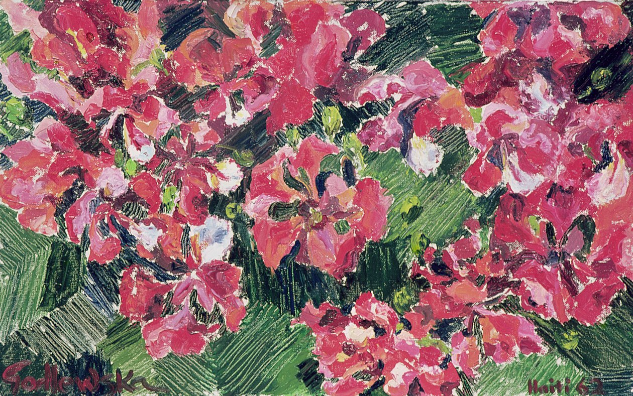 Ormangülü, 1962 by Izabella Godlewska de Aranda