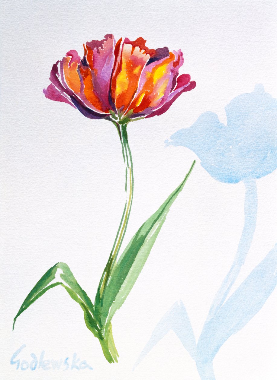 Tulip, 1998 (kağıt üzerinde wc) (ayrıca bkz. 124446 ve 124448) by Izabella Godlewska de Aranda