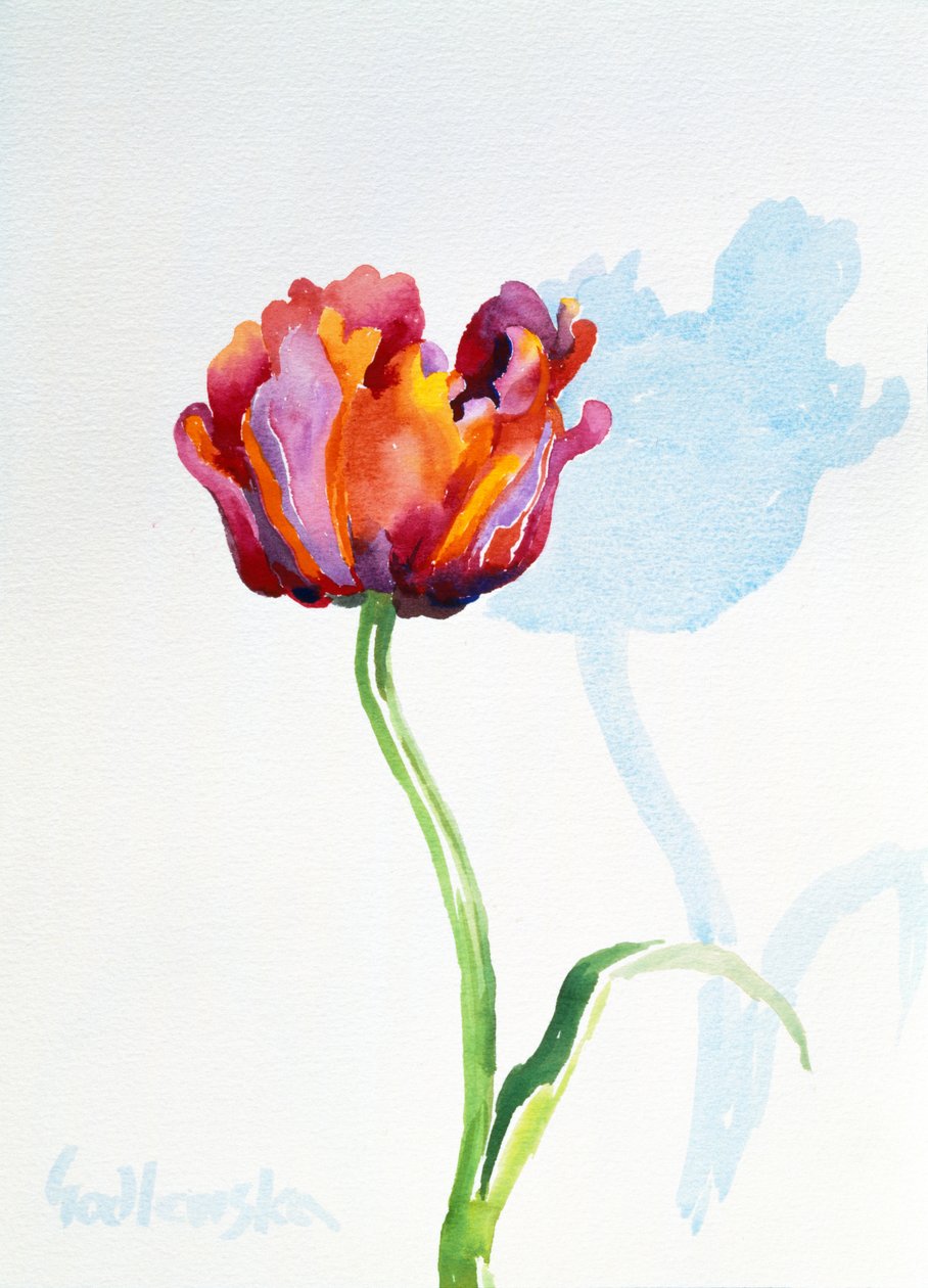 Tulip, 1998 (kağıt üzerinde wc) (ayrıca bkz. 124446 ve 124448) by Izabella Godlewska de Aranda