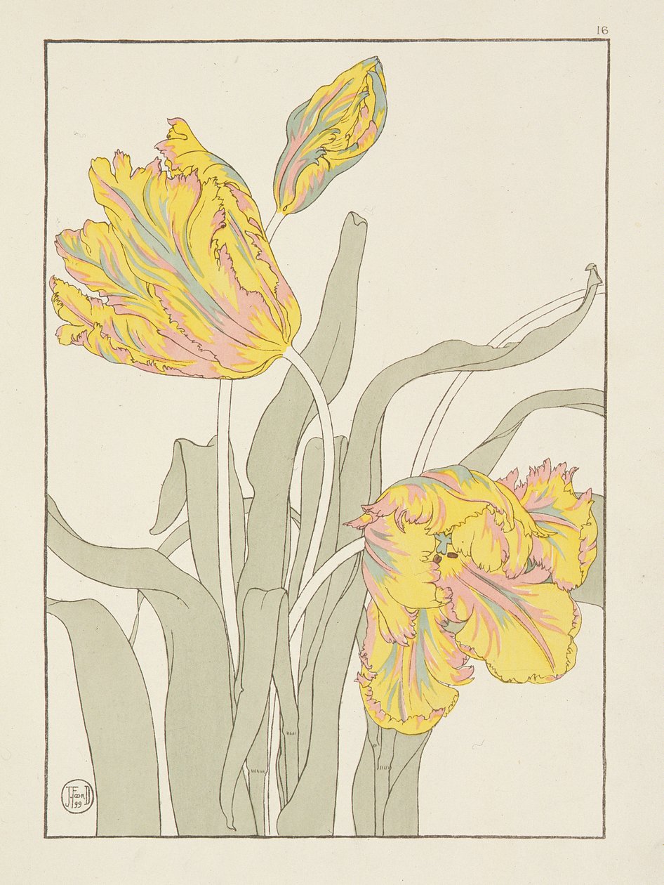 Lale, J. Foord (fl.1890) plaka 16, Dekoratif Çiçek Çalışmaları yayınından. 1901, 1899 by J. Foord