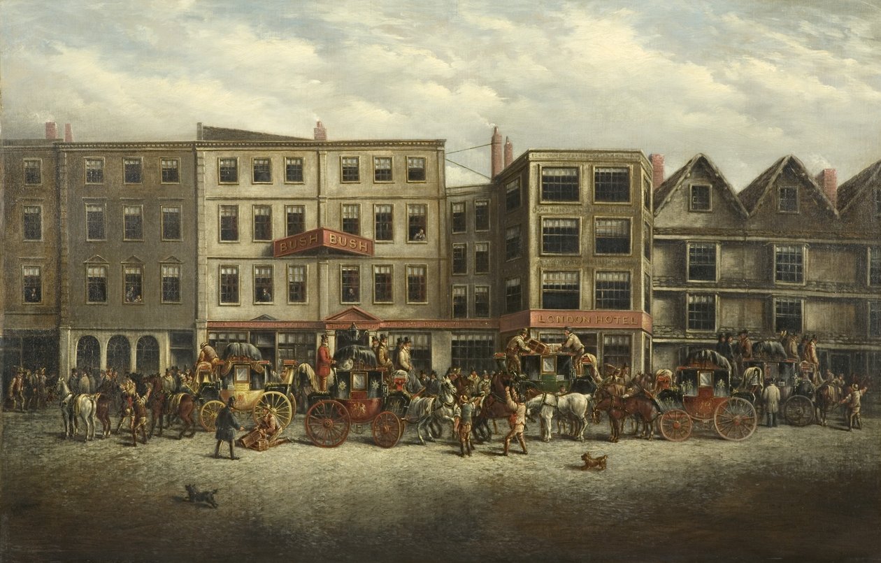 Bush Hanı by J.C. Maggs