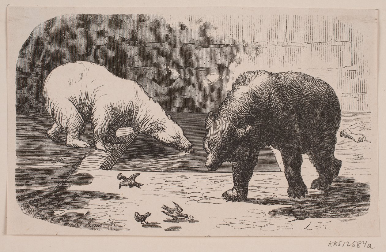 Bjørne ve Botanik Bahçesi by J.C. Nielsen