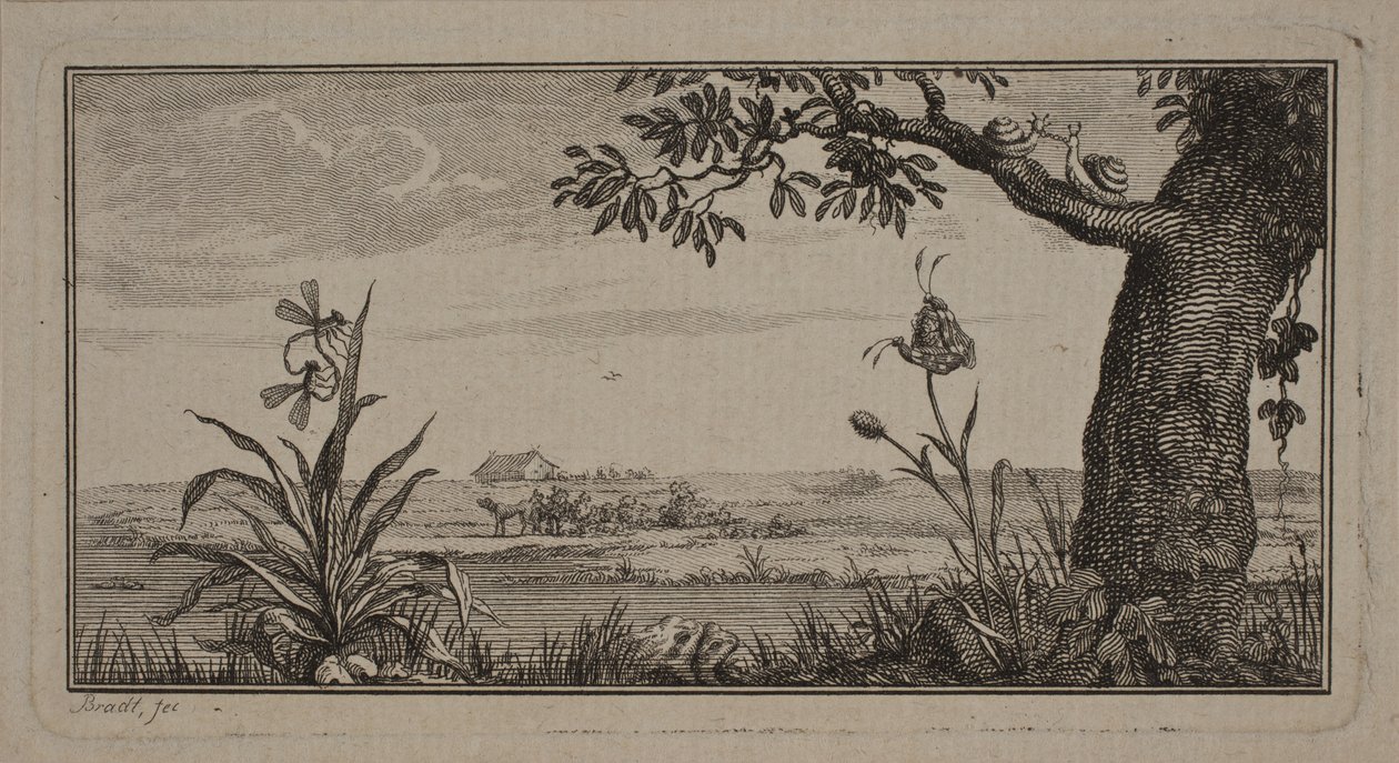 Düz bir manzara, ön planda böcekler ve salyangozlu ağaç. by J.F. Clemens