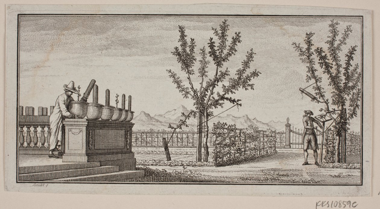 Dört kanatlı dahiler ile skeç by J.F. Clemens
