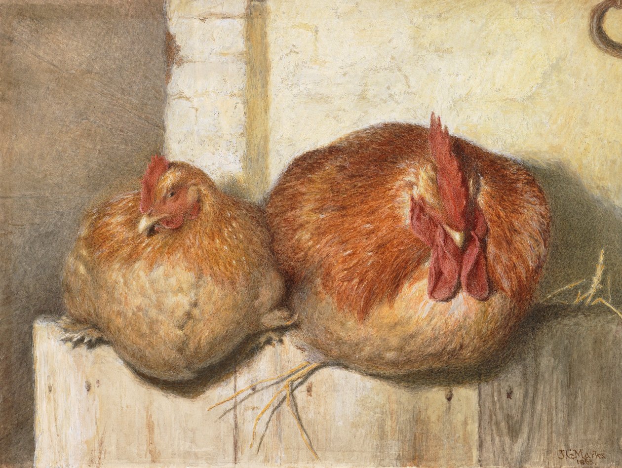 Forty Winks, 1865 (kağıt üzerinde wc) by J.G. Marks