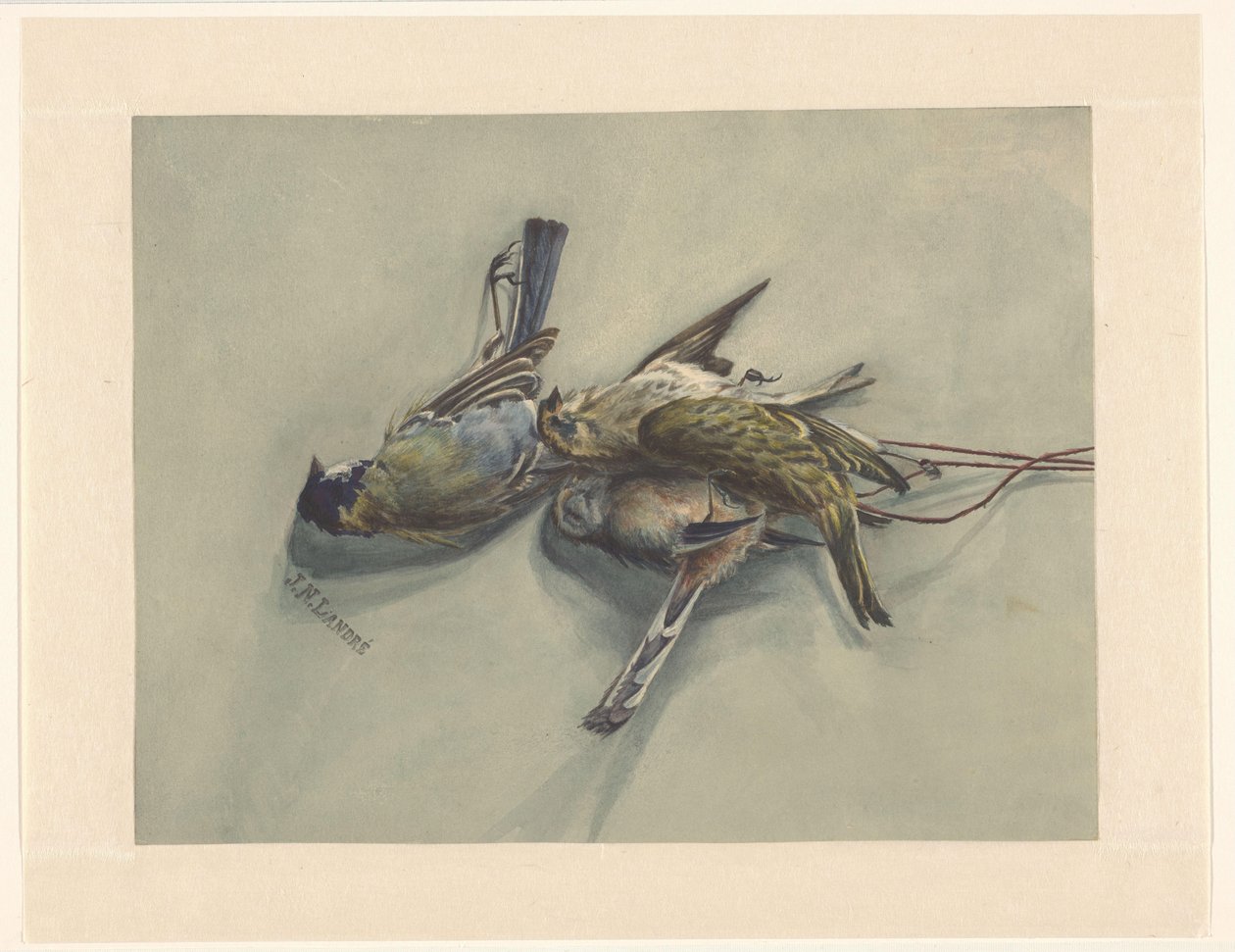 Üç ölü kuş ile natürmort by J.N. Landré (signed by artist)