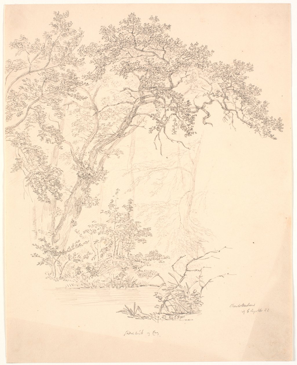 ağaçlar by J.P. Møller