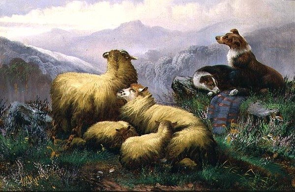 İskoç Dağlık Bölgesinde Çoban Köpekleri ve Koyunlar by J.W. Morris