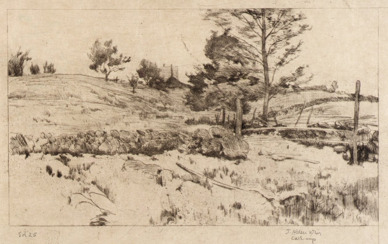  by J. Alden Weir