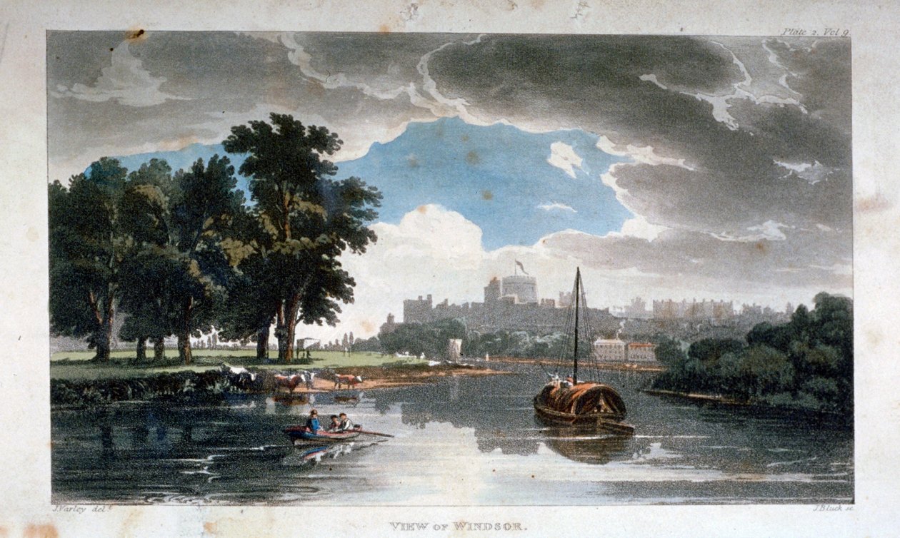 Windsor