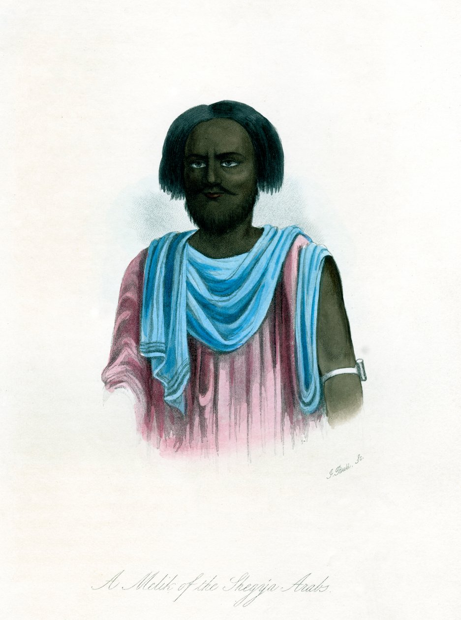 Shegyia Araplarından bir Melik, c1840. by J. Bull