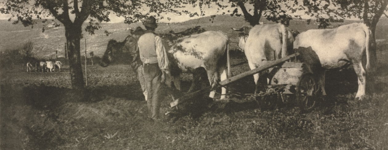 Kamera Çalışması: Çiftçilik Ekibi by J. Craig Annan