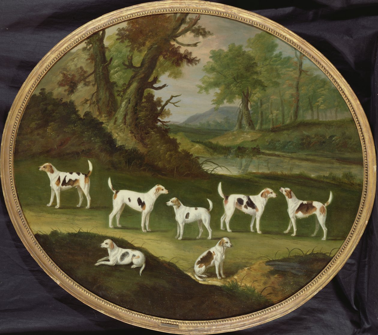 Ormanlık arazide harriers by J. Francis Sartorius