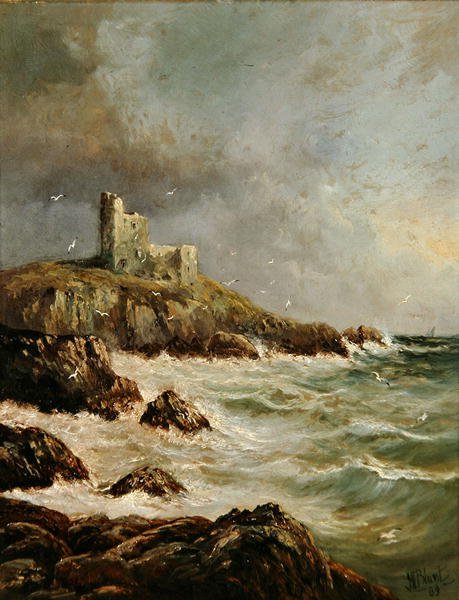 Rocky Shore
