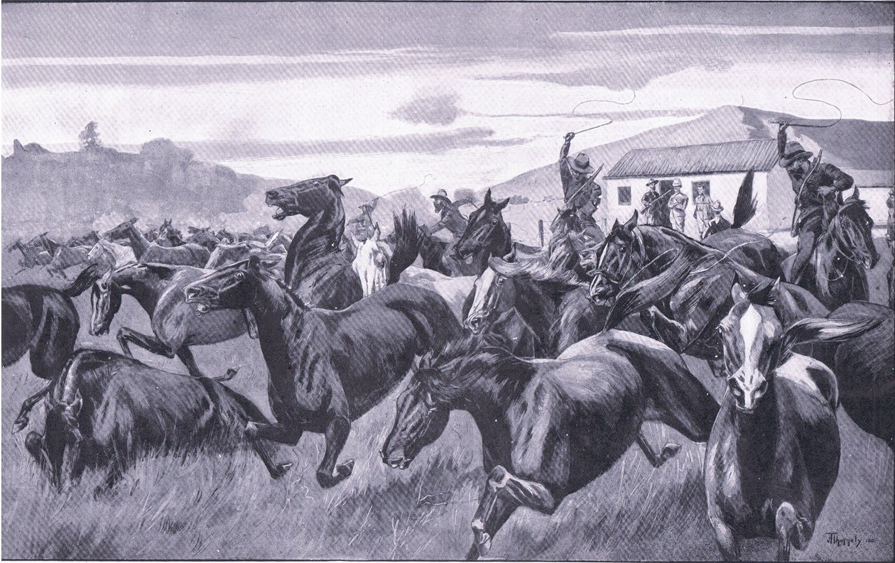 Harmsworth Bros Limited tarafından yayınlanan After Pretoria: The Guerilla War