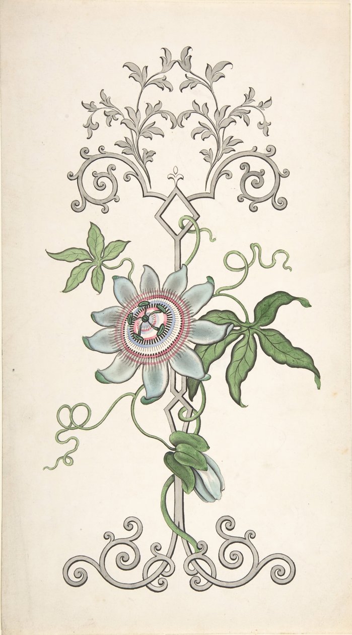 Bir Tutku Çiçeği Merkezli Pano Dekorasyon Tasarımı, 1828-40. by J Hulme
