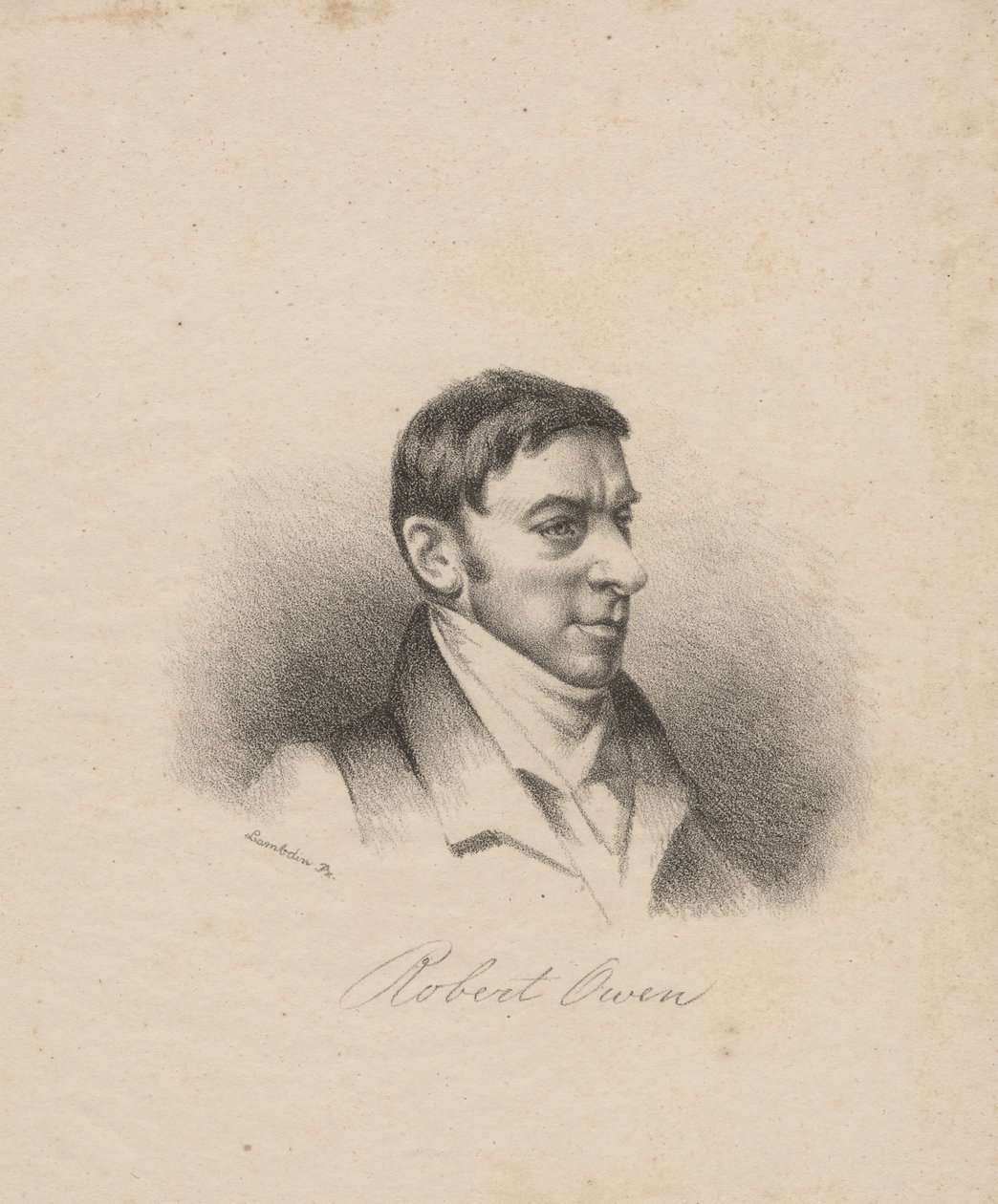 Boz Ayılar, Thomas Doughty tarafından Doughtys The Cabinet of Natural History and American Rural Sports, 1830