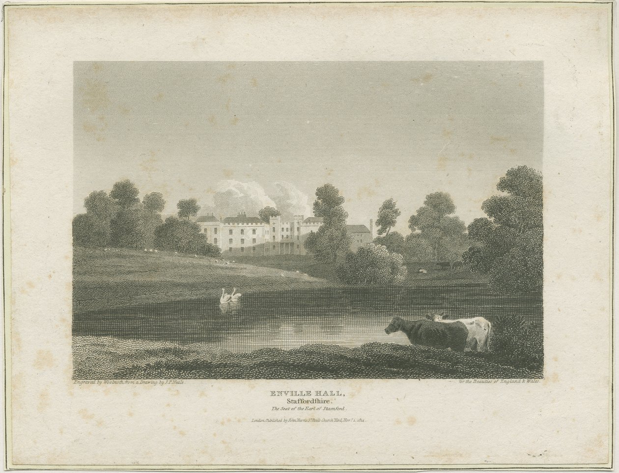 Enville Hall: gravür, nd [c 1814] (baskı) by John Preston Neale