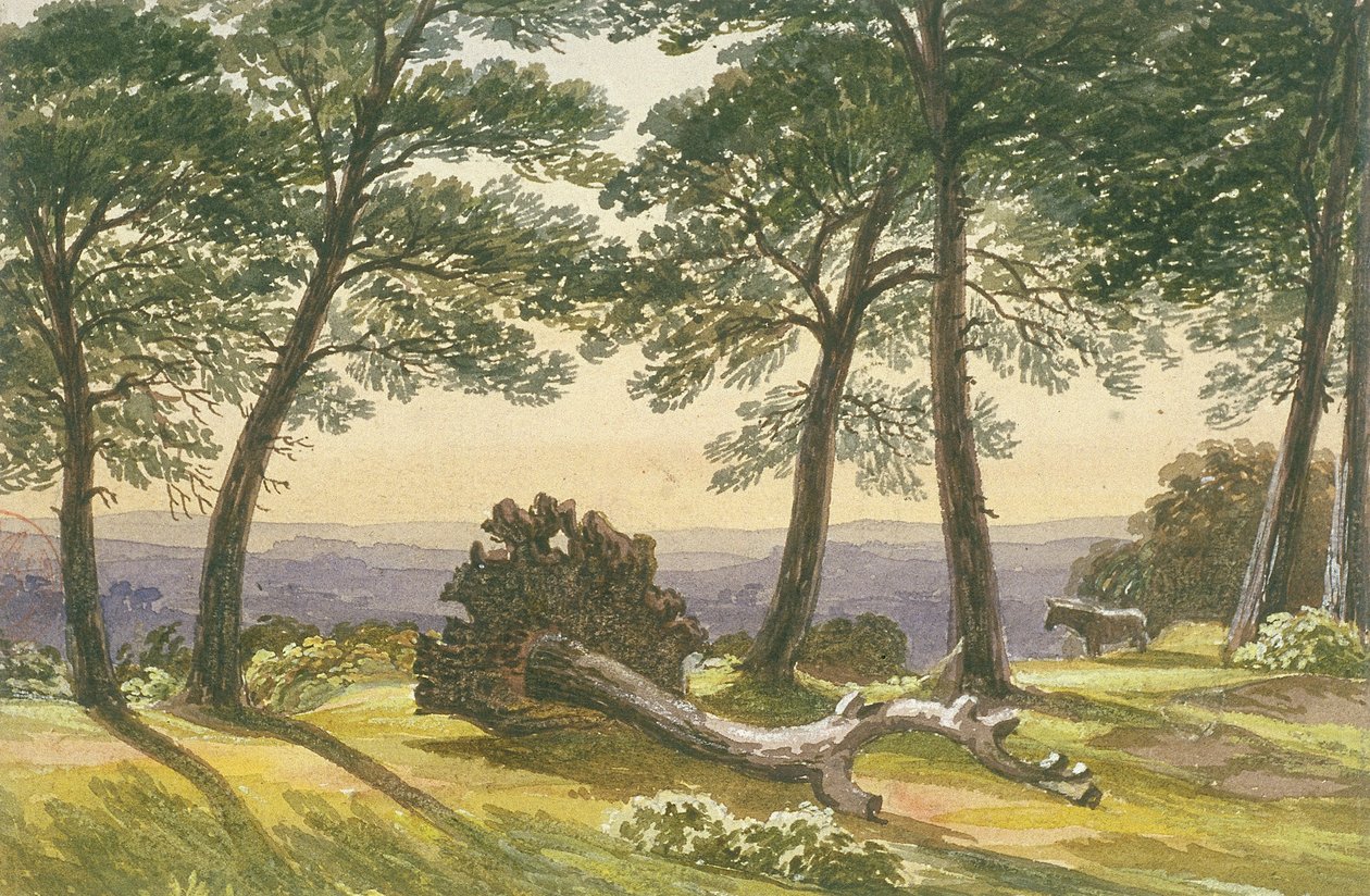 Hampstead Heath, Londra, c1830 by J Powell