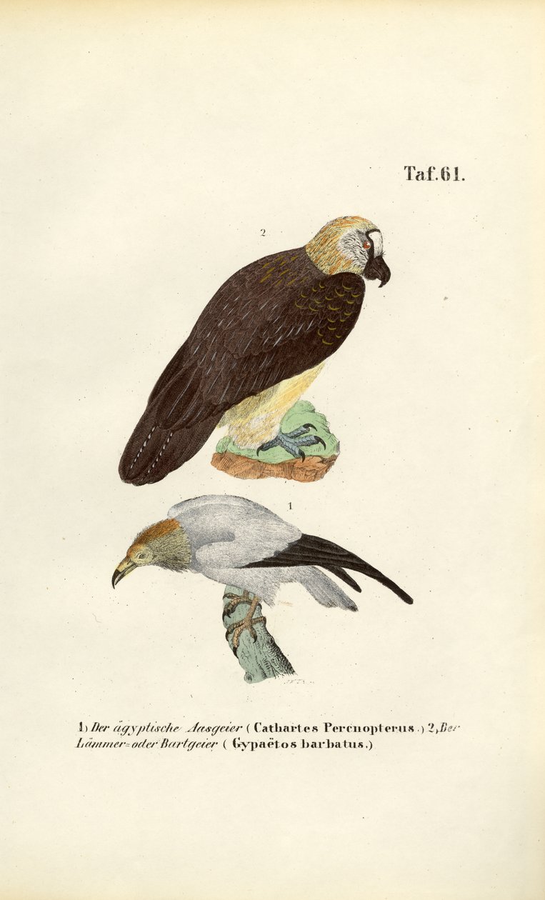  by J. W. Tenhaeff