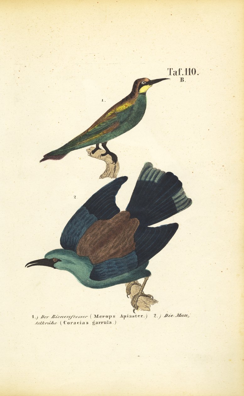  by J. W. Tenhaeff