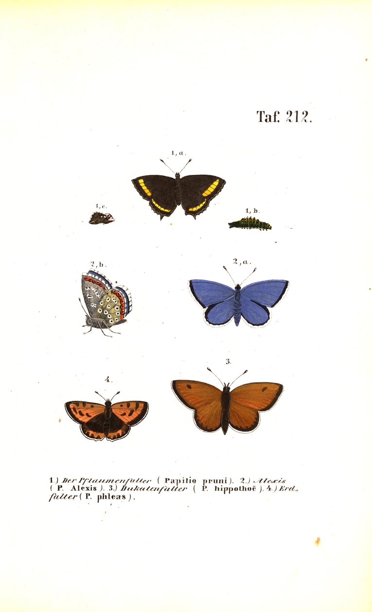  by J. W. Tenhaeff
