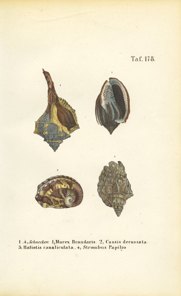  by J. W. Tenhaeff
