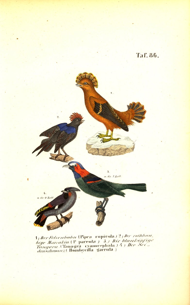  by J. W. Tenhaeff
