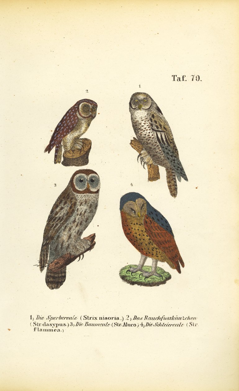  by J. W. Tenhaeff