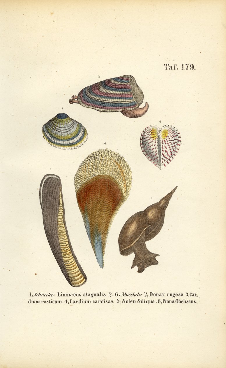  by J. W. Tenhaeff