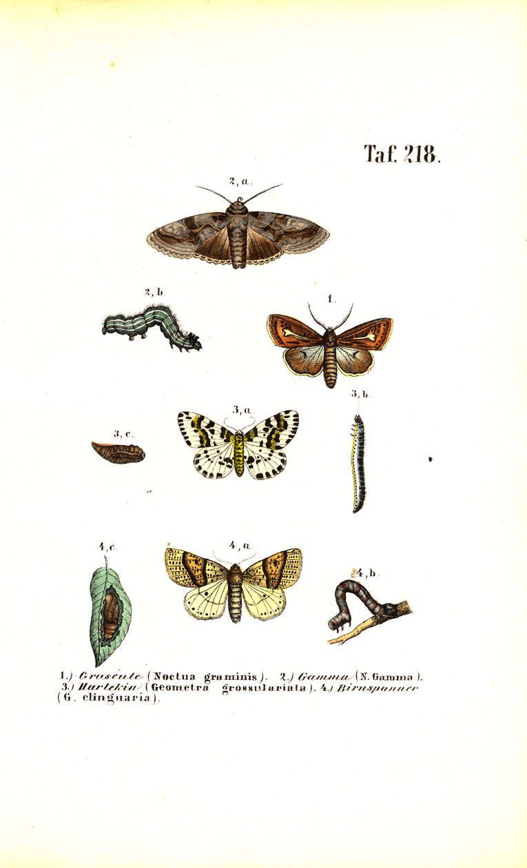  by J. W. Tenhaeff