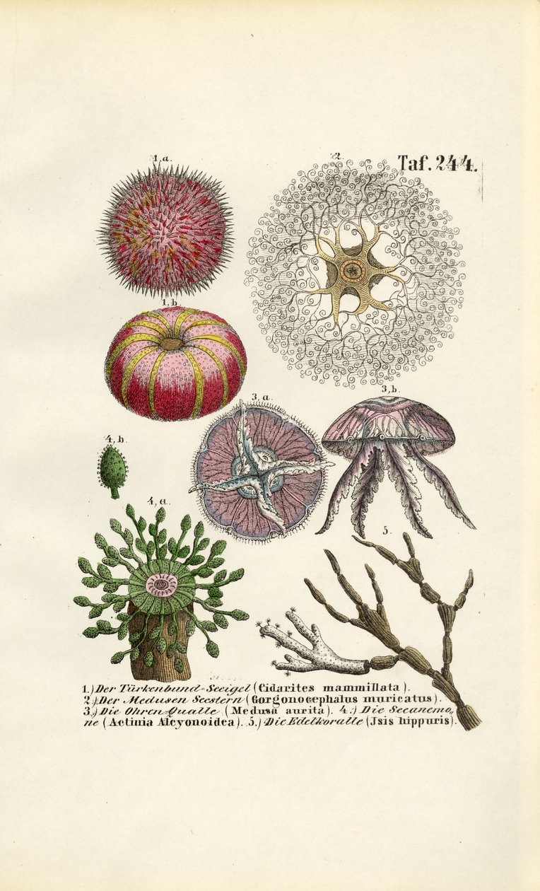  by J. W. Tenhaeff