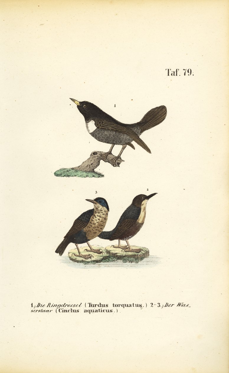  by J. W. Tenhaeff