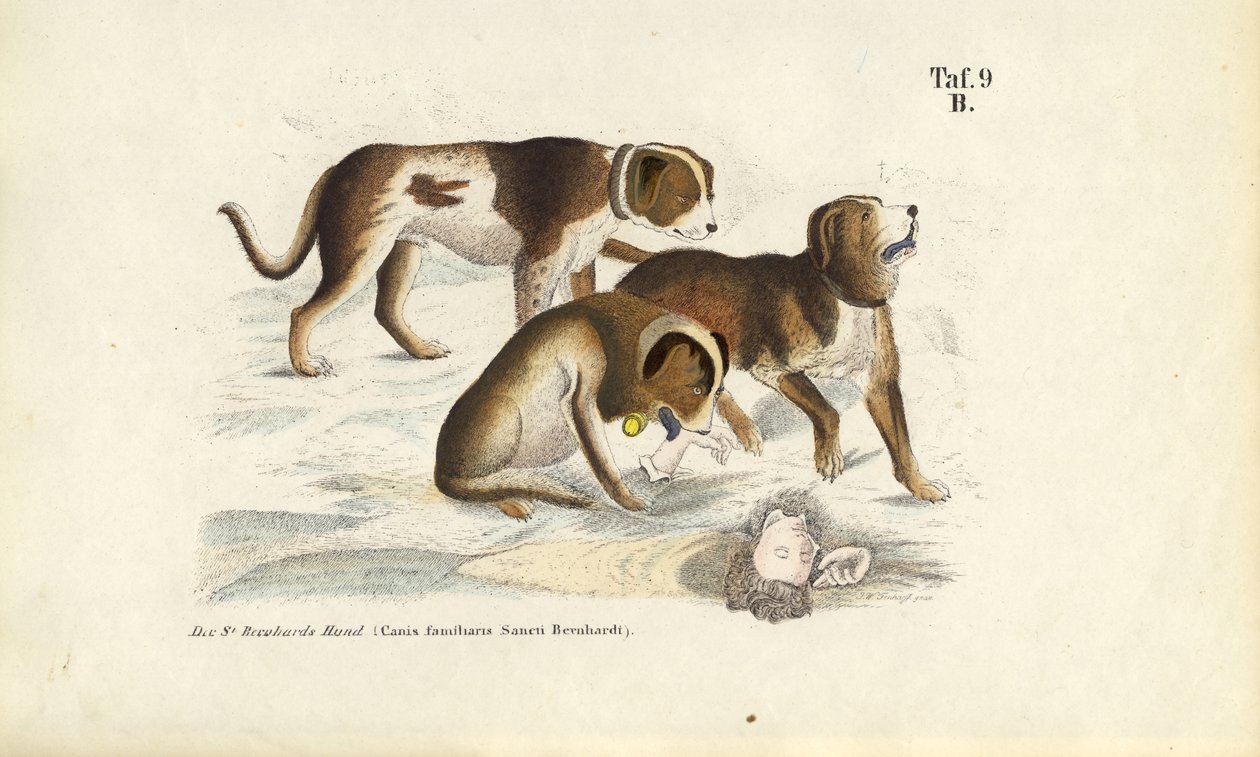  by J. W. Tenhaeff