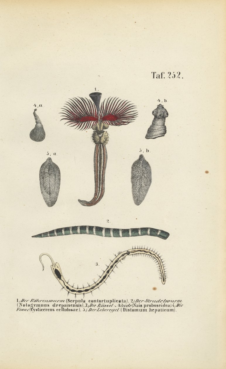  by J. W. Tenhaeff