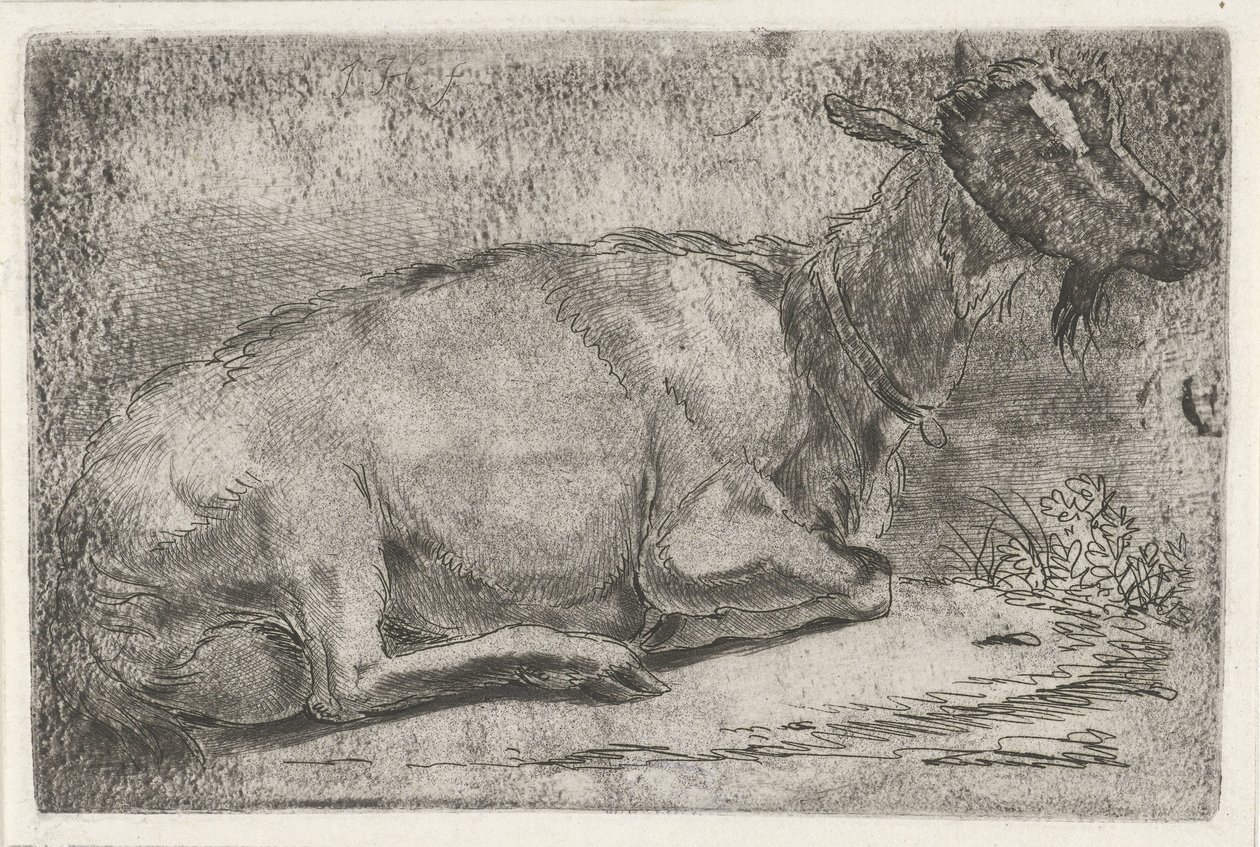 yalancı keçi by Jabes Heenck