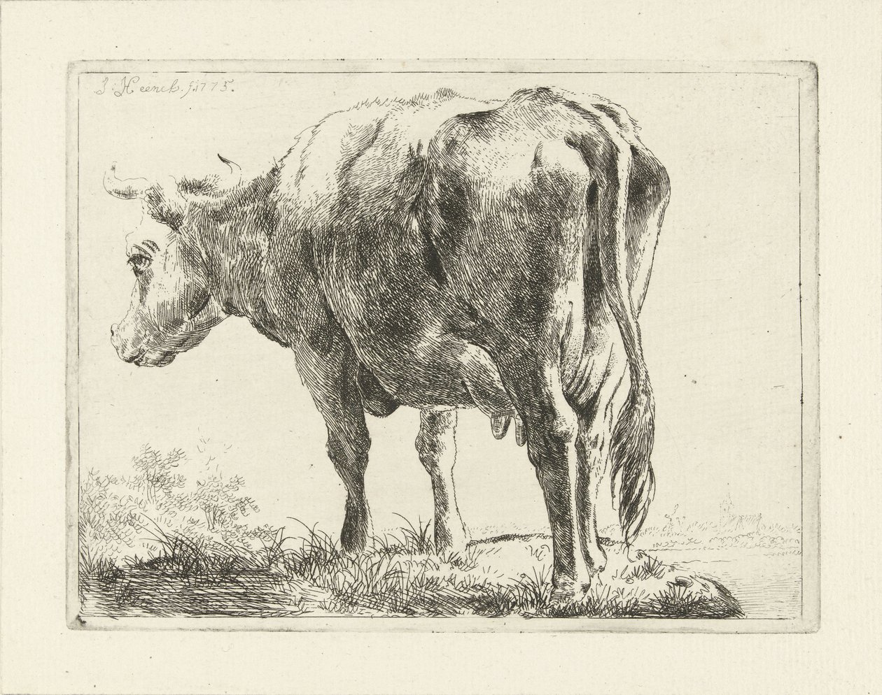 ayakta inek by Jabes Heenck